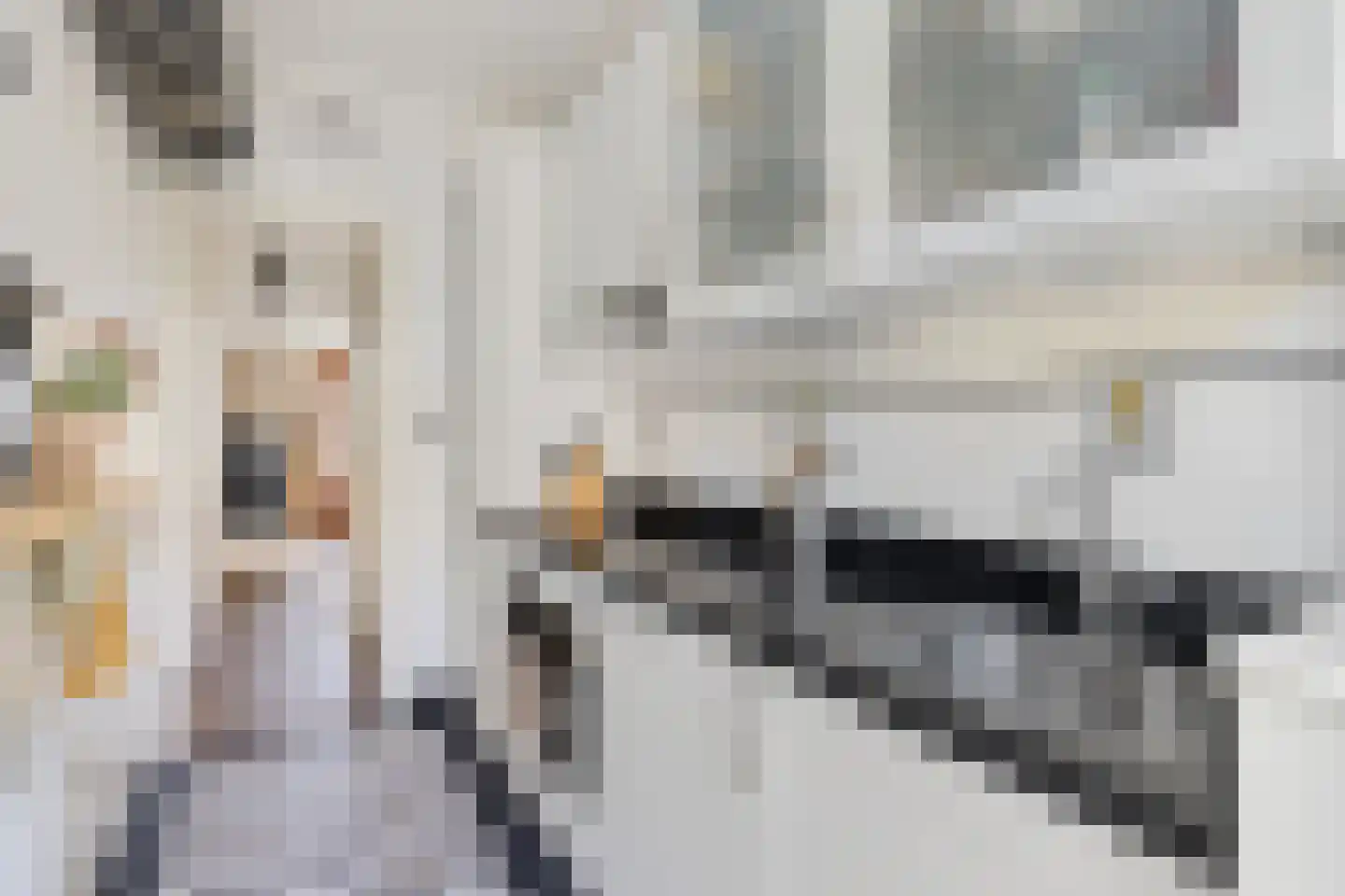 W.A. Vultostraat 103 Utrecht thumbnail 17