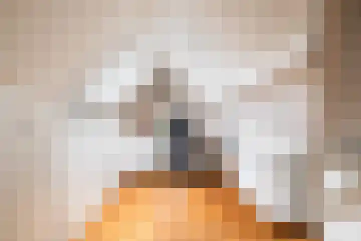 W.A. Vultostraat 127 Utrecht thumbnail 38