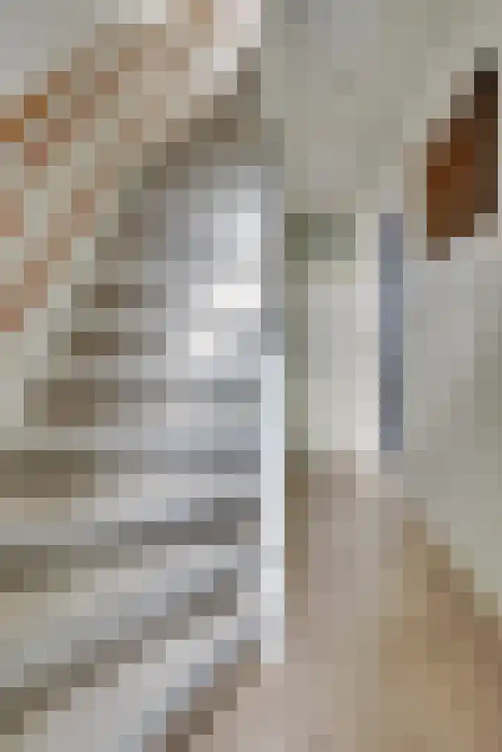 W.A. Vultostraat 131 Utrecht thumbnail 22