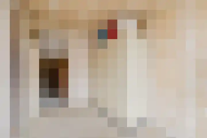 W.A. Vultostraat 135 Utrecht thumbnail 21