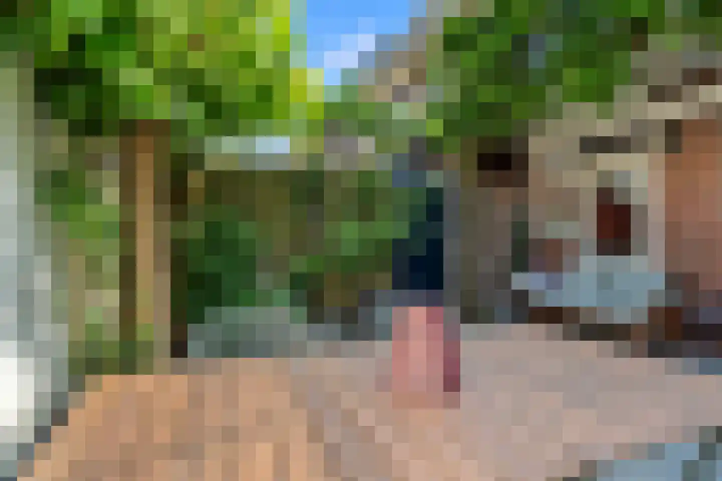 W.A. Vultostraat 81 Utrecht thumbnail 19