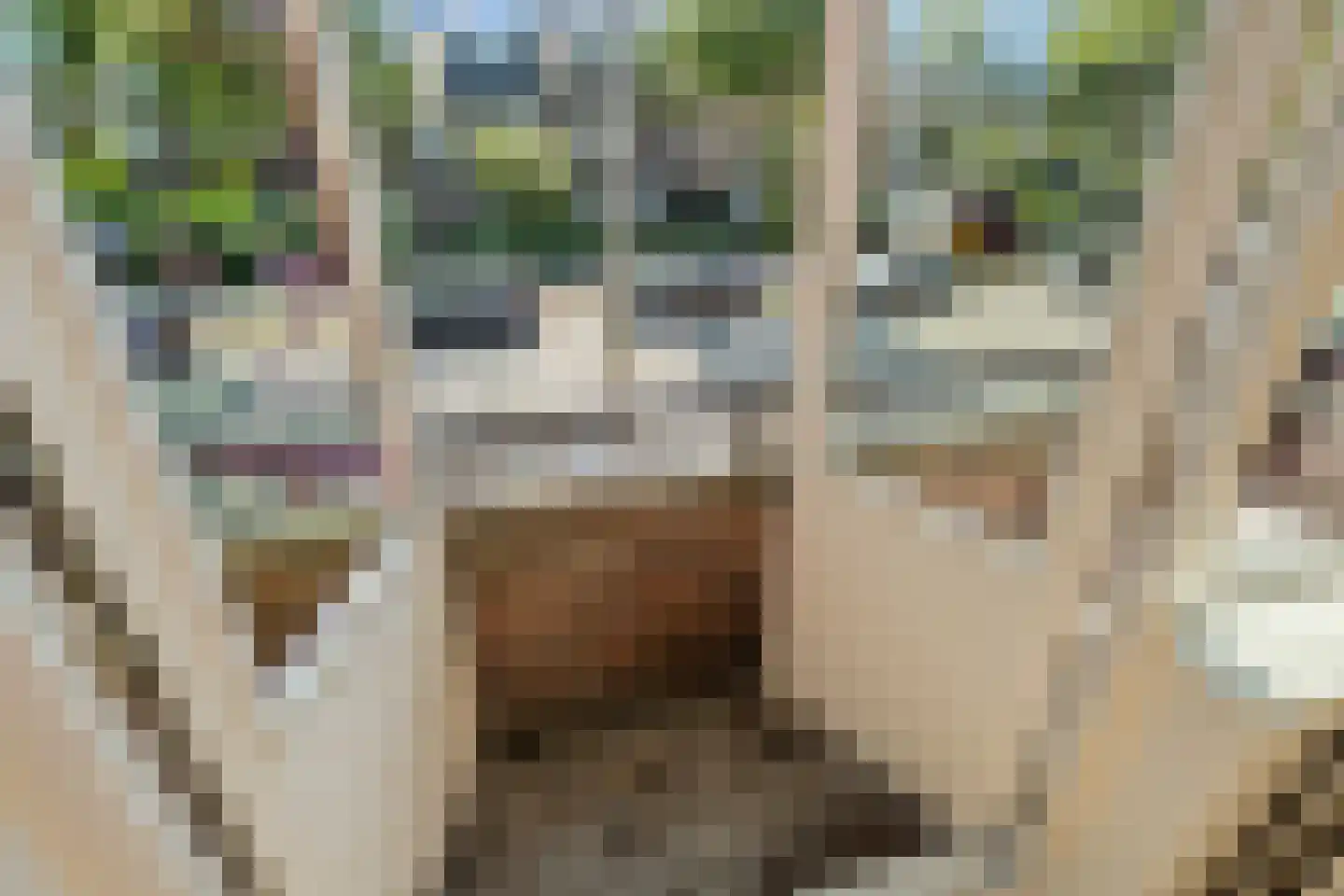 W.A. Vultostraat 81 Utrecht thumbnail 35