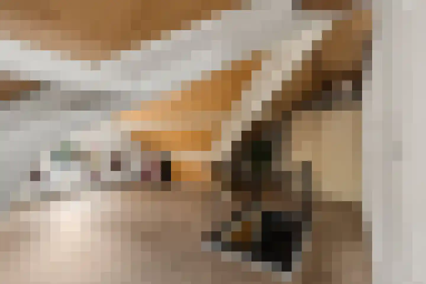 W.A. Vultostraat 81 Utrecht thumbnail 43