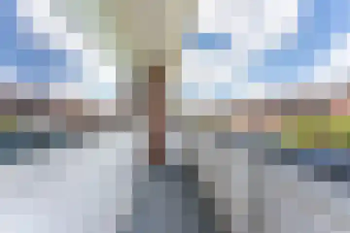 W.B. van der Veldenstraat 24 Alblasserdam thumbnail 32