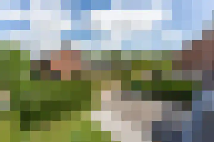 W.B. van der Veldenstraat 24 Alblasserdam thumbnail 33