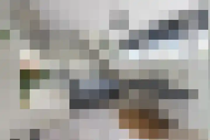 W.B. van der Veldenstraat 24 Alblasserdam thumbnail 42