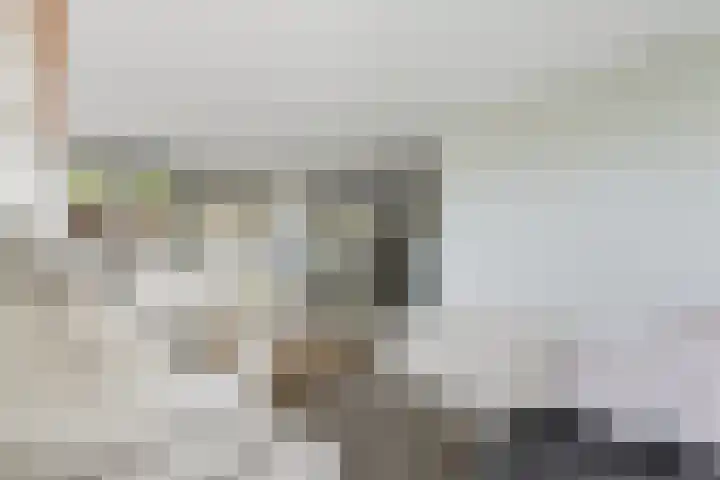 W.B. van der Veldenstraat 6 Alblasserdam thumbnail 13