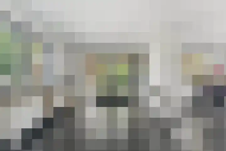 W.B. van der Veldenstraat 6 Alblasserdam thumbnail 25