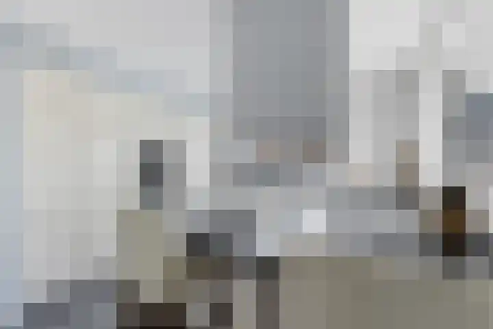 W.B. van der Veldenstraat 6 Alblasserdam thumbnail 36