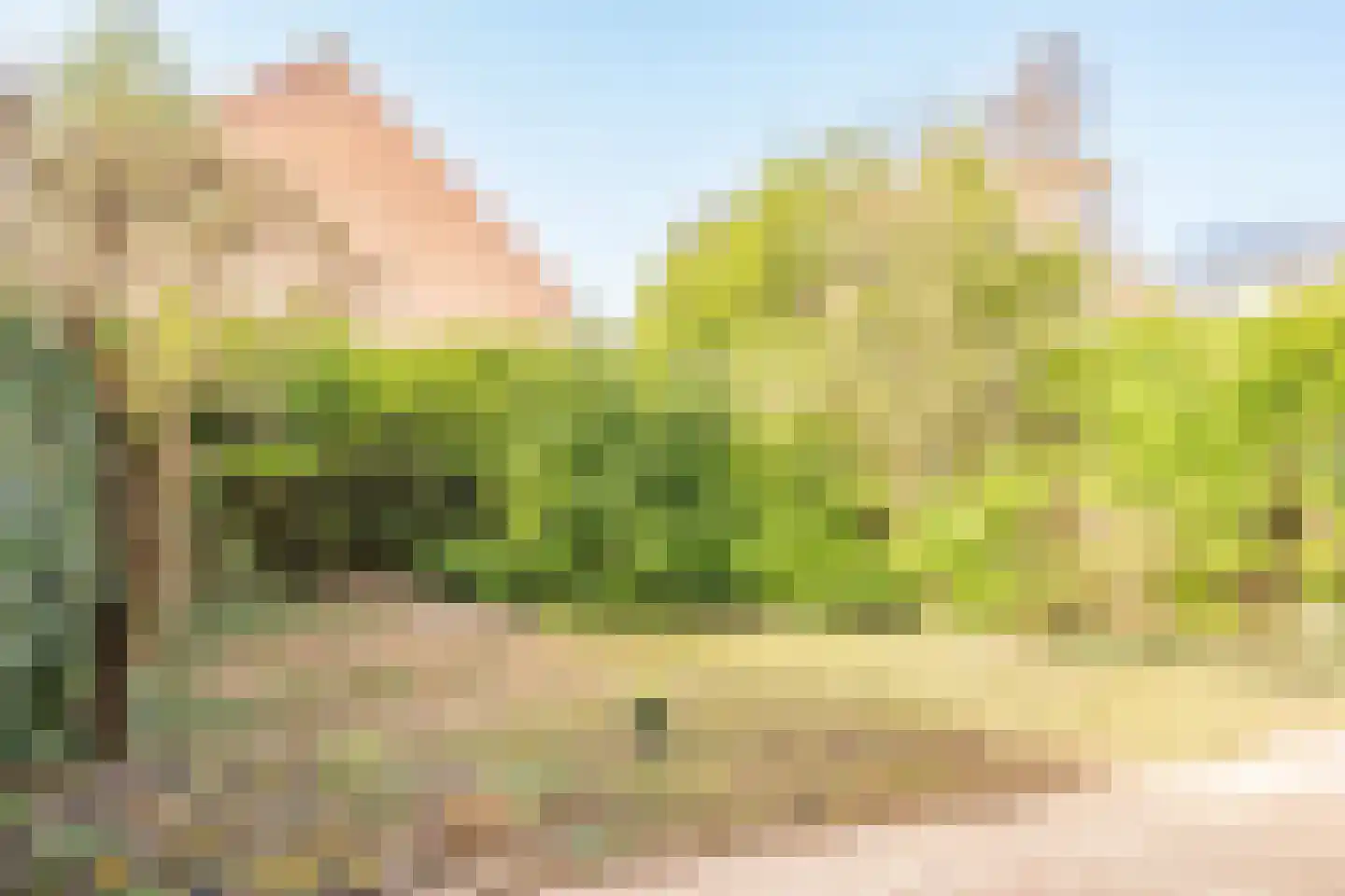 W Banninglaan 14 Driebergen-Rijsenburg thumbnail 27