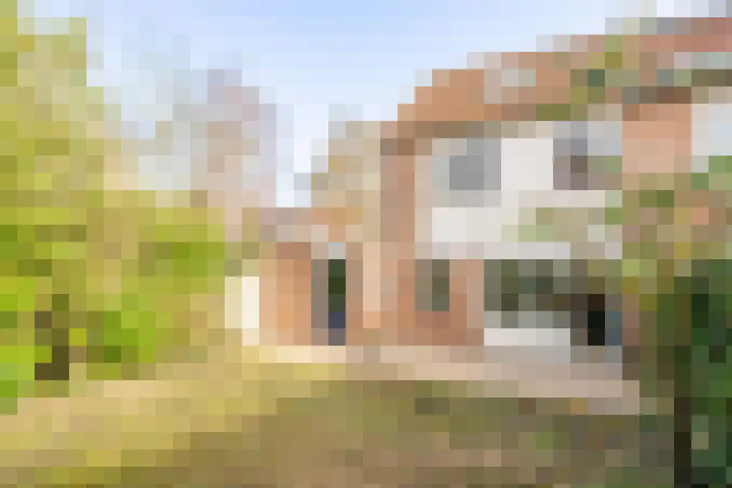 W Banninglaan 14 Driebergen-Rijsenburg thumbnail 29