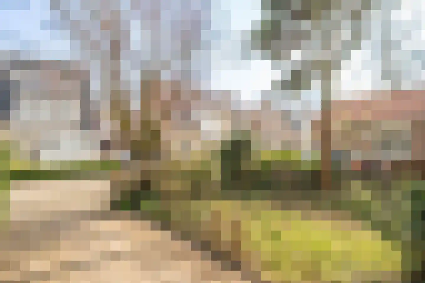 W Banninglaan 14 Driebergen-Rijsenburg thumbnail 32