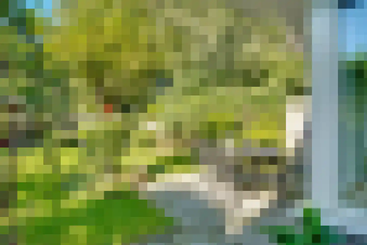 W Banninglaan 23 Driebergen-Rijsenburg thumbnail 33