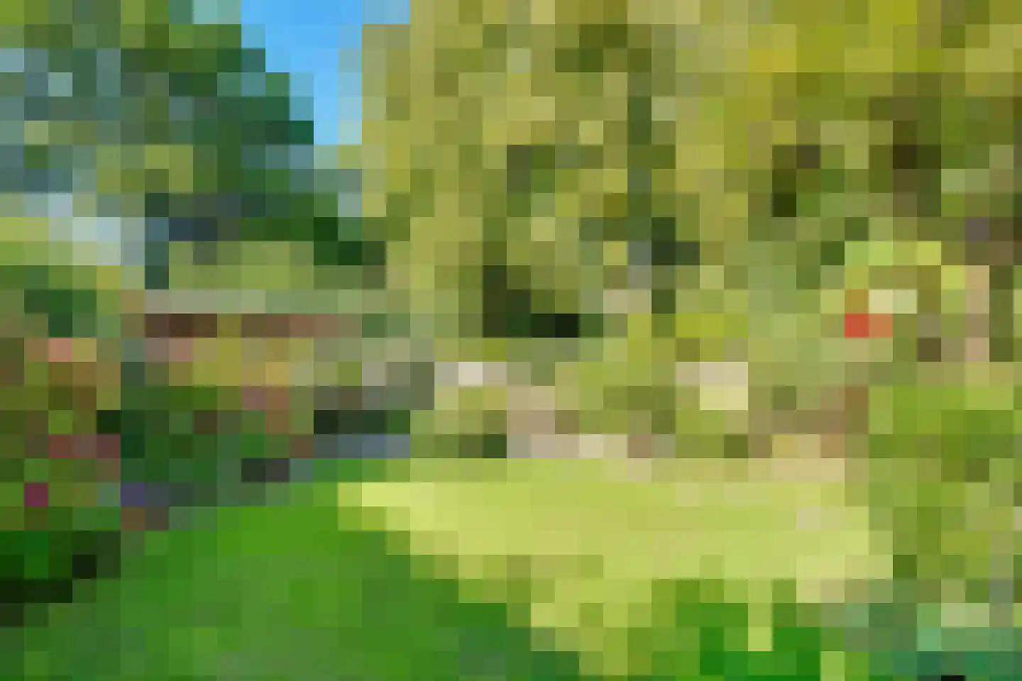 W Banninglaan 23 Driebergen-Rijsenburg thumbnail 34