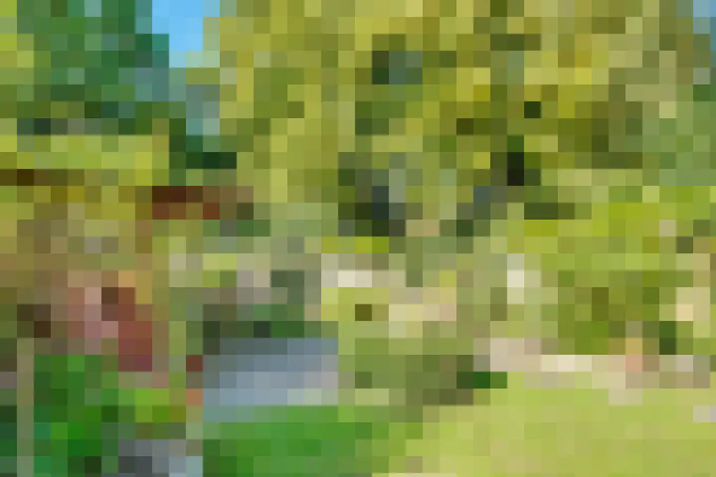 W Banninglaan 23 Driebergen-Rijsenburg thumbnail 36