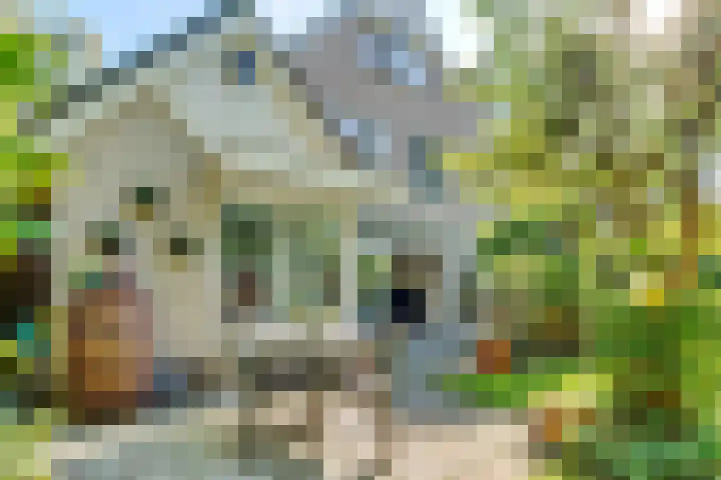 W Banninglaan 23 Driebergen-Rijsenburg thumbnail 4