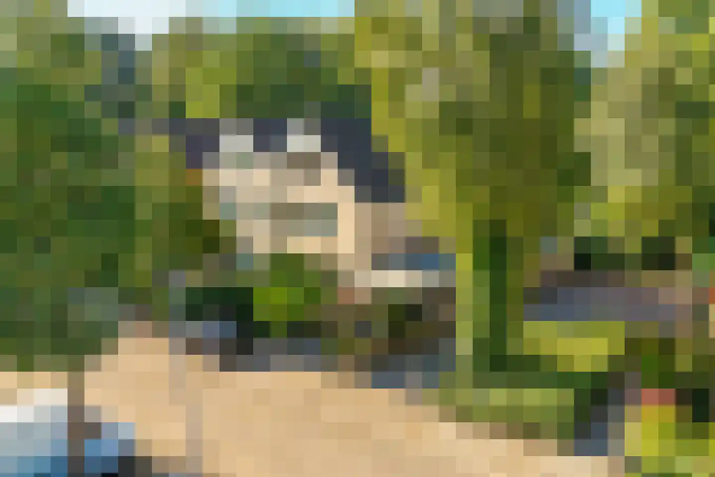 W Banninglaan 23 Driebergen-Rijsenburg thumbnail 42
