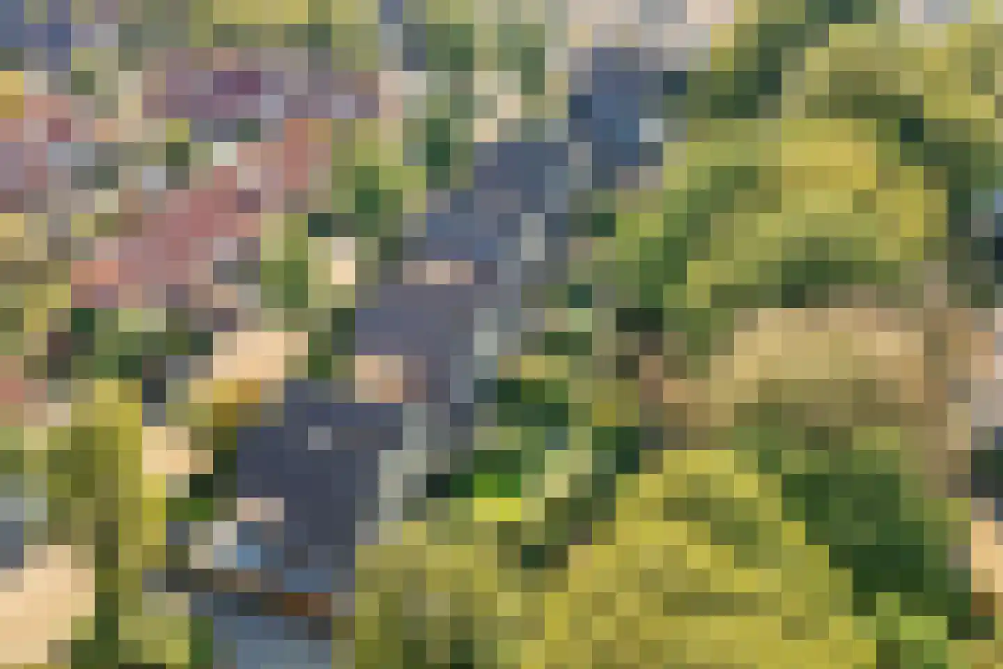 W Banninglaan 23 Driebergen-Rijsenburg thumbnail 43
