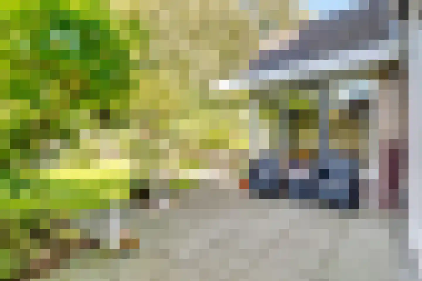 W Banninglaan 23 Driebergen-Rijsenburg thumbnail 6