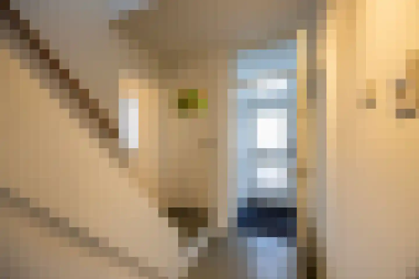 W.C. Bradelaan 29 Hilversum thumbnail 11