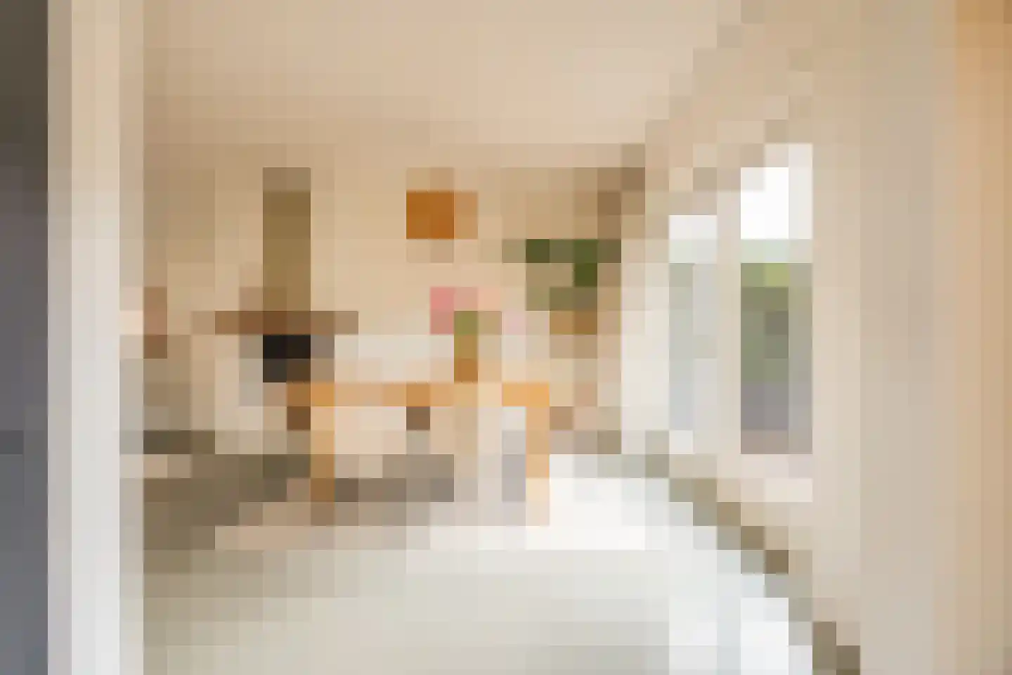 W.C. Bradelaan 29 Hilversum thumbnail 7