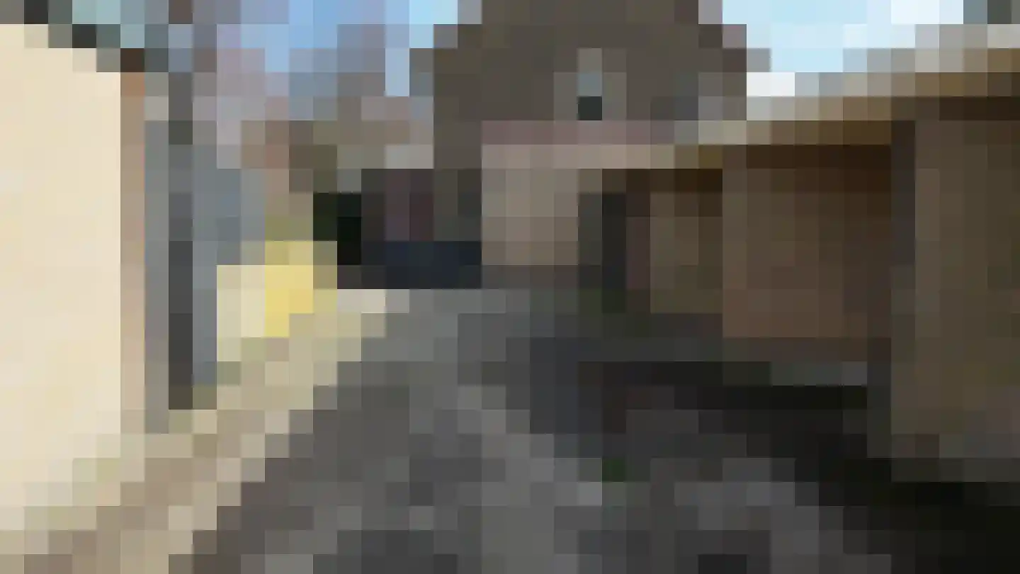 W.C. Bradelaan 3 Hilversum thumbnail 4
