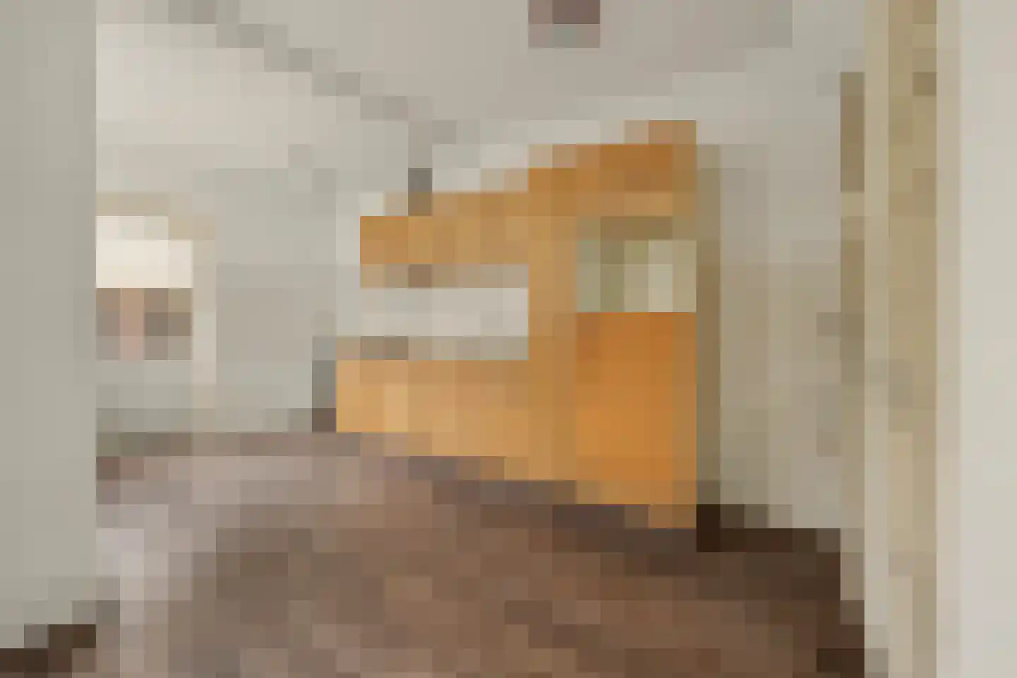 W.C. Schoutenstraat 9 Enschede thumbnail 7