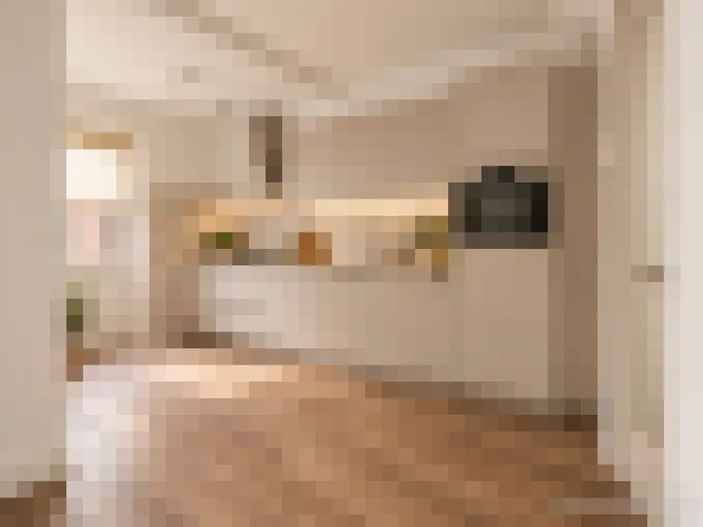 W.C. Schoutenstraat 9 Enschede thumbnail 8
