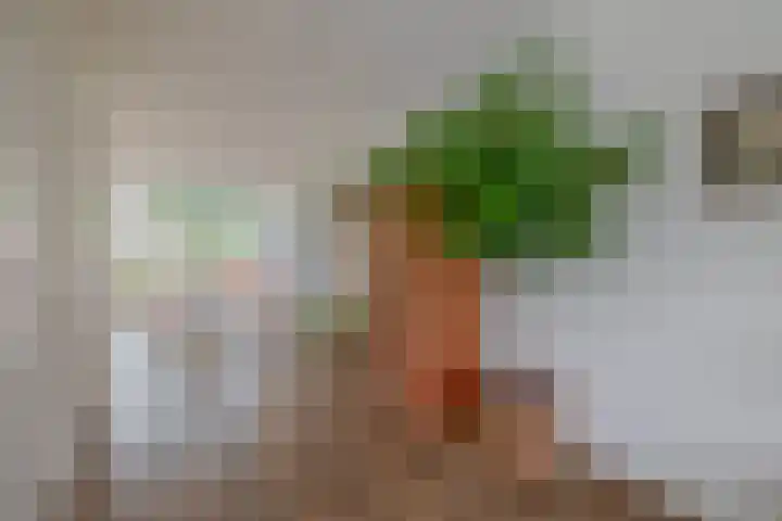 W. Dassenstraat 5 Wapserveen thumbnail 10