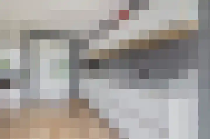W. Dassenstraat 5 Wapserveen thumbnail 13
