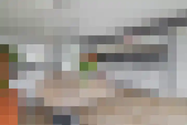 W. Dassenstraat 5 Wapserveen thumbnail 17