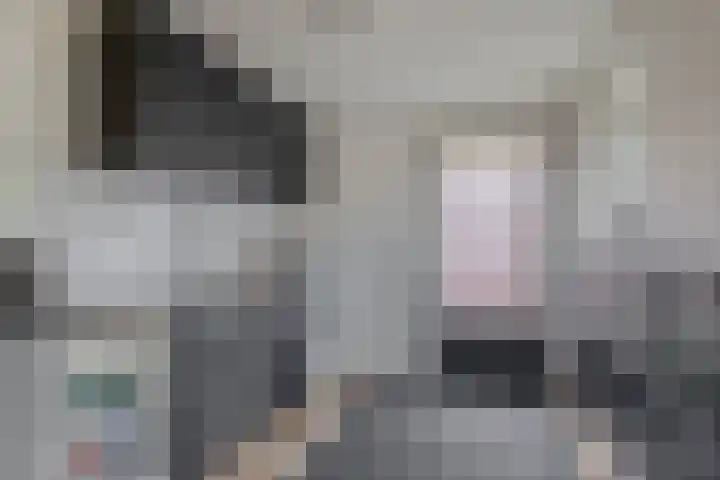 W. Dassenstraat 5 Wapserveen thumbnail 18