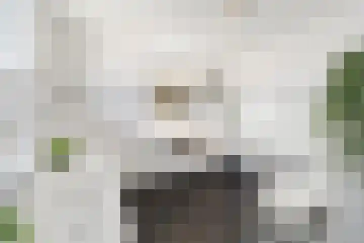 W. Dassenstraat 5 Wapserveen thumbnail 21