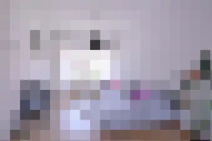 W. Dassenstraat 5 Wapserveen thumbnail 30
