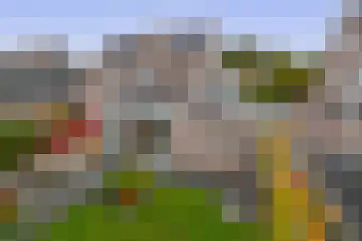 W. Dassenstraat 5 Wapserveen thumbnail 32