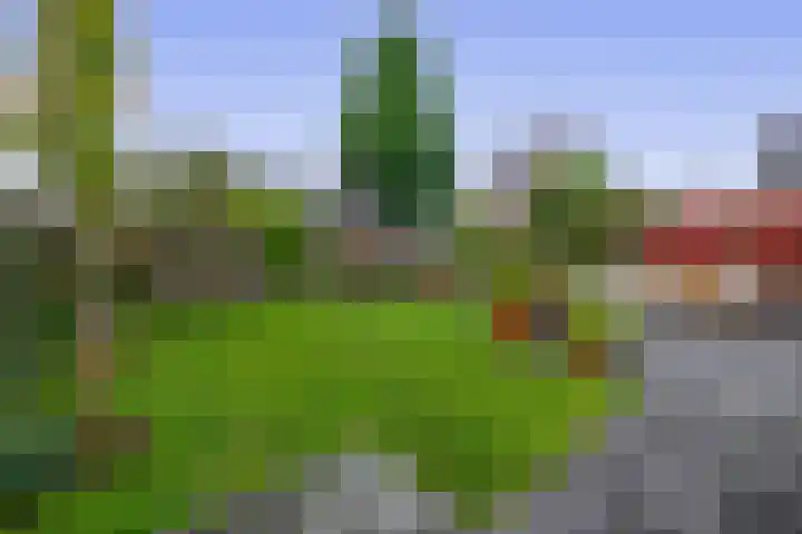 W. Dassenstraat 5 Wapserveen thumbnail 34