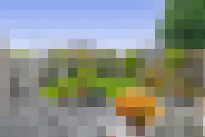 W. Dassenstraat 5 Wapserveen thumbnail 35