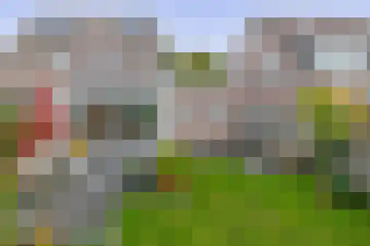 W. Dassenstraat 5 Wapserveen thumbnail 36