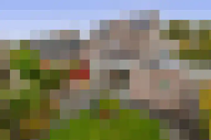 W. Dassenstraat 5 Wapserveen thumbnail 37