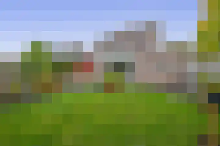 W. Dassenstraat 5 Wapserveen thumbnail 4
