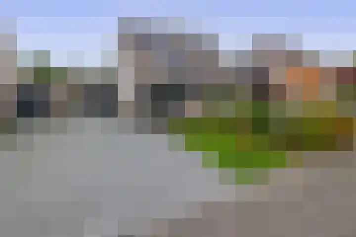 W. Dassenstraat 5 Wapserveen thumbnail 42