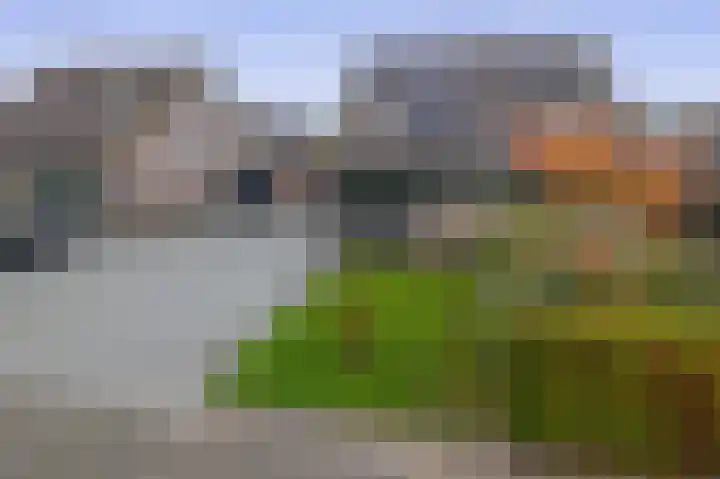 W. Dassenstraat 5 Wapserveen thumbnail 45