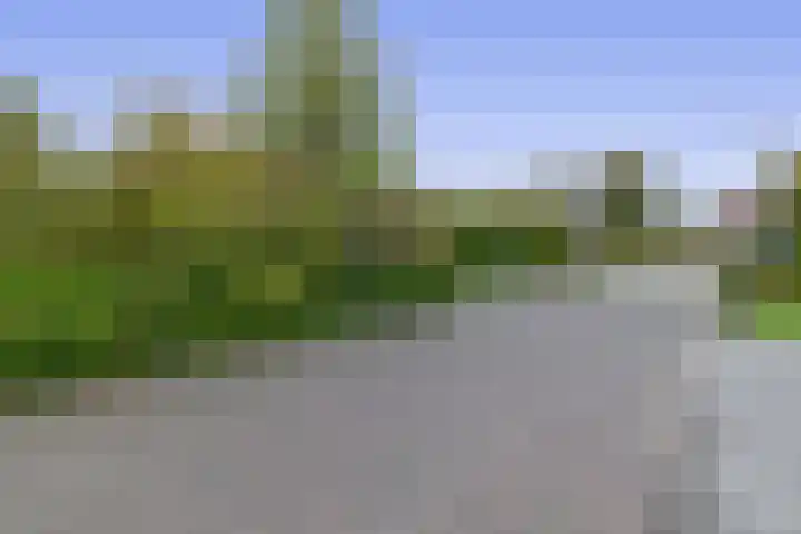 W. Dassenstraat 5 Wapserveen thumbnail 46