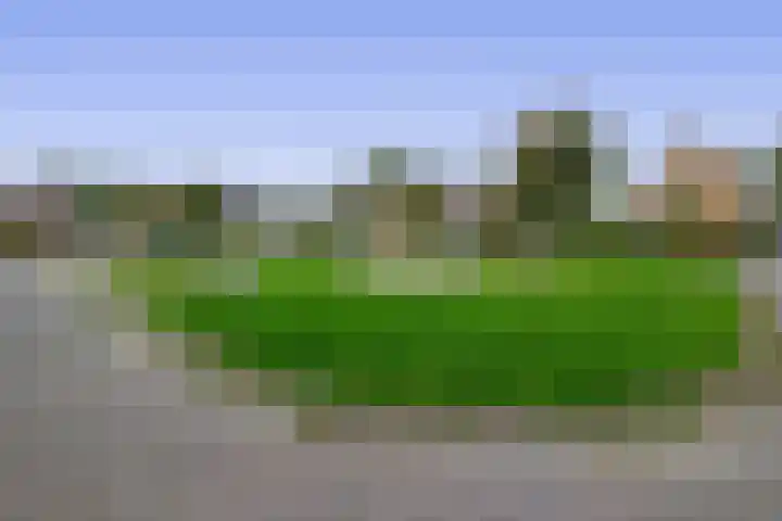 W. Dassenstraat 5 Wapserveen thumbnail 47