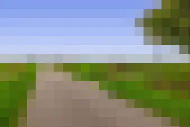 W. Dassenstraat 5 Wapserveen thumbnail 48
