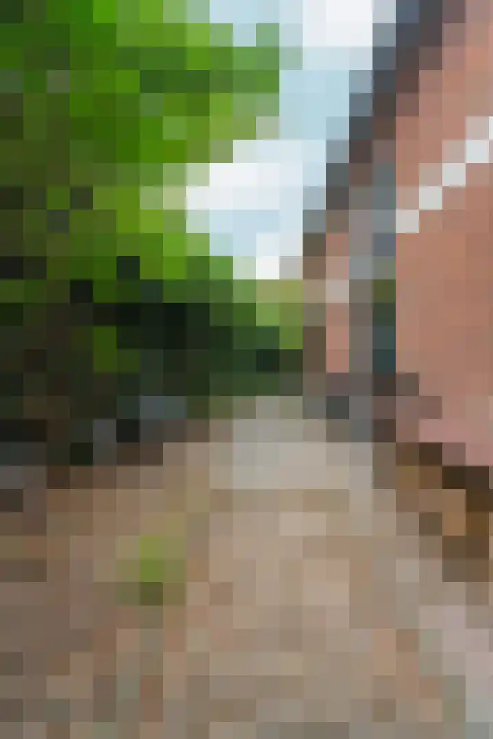 W. Dassenstraat 5 Wapserveen thumbnail 51