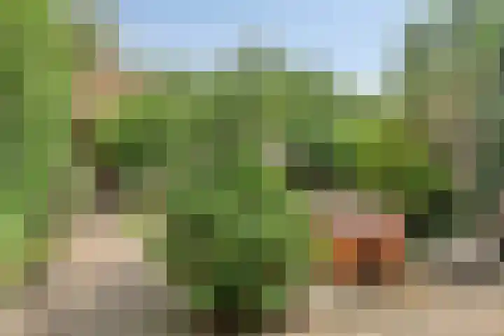 W. de Vries Robbéweg 28 Gorinchem thumbnail 34