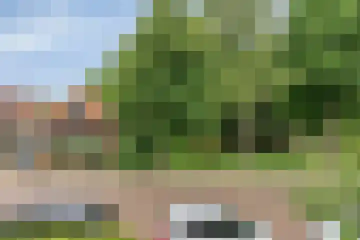 W. de Vries Robbéweg 28 Gorinchem thumbnail 38