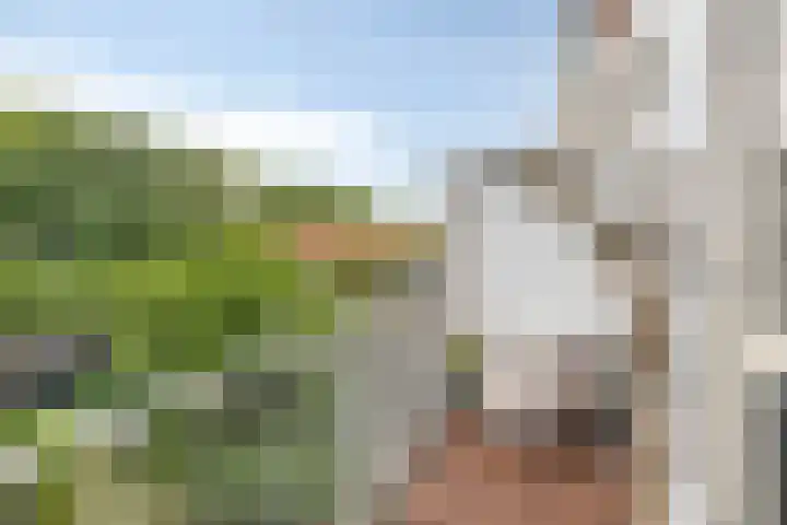 W. de Vries Robbéweg 28 Gorinchem thumbnail 39