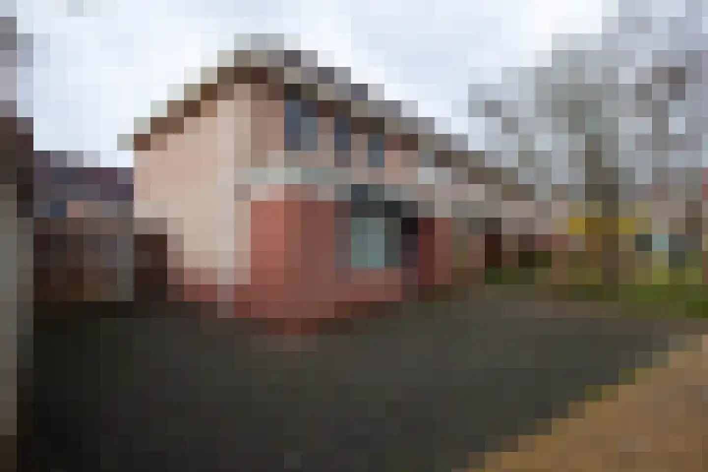 W. Dreeslaan 1 Winterswijk thumbnail 28